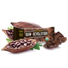 Батончик RAW REVOLUTION двойной шоколадный брауни (5 г протеина) органический, 46 г