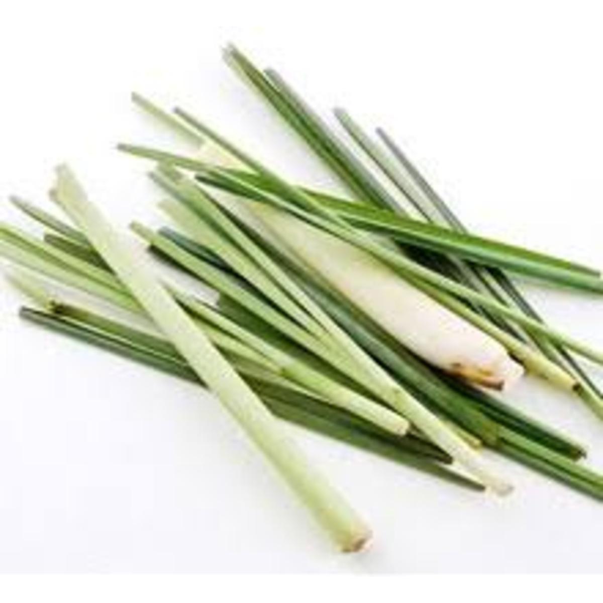 Купить Цитронелла, 100% эфирное масло BOTANIKA, 5 мл - Экоcтория ...