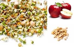 Биокаша кукурузная "Стройность и здоровье" с проростками гречки, яблоком и кедровым орехом 220 г