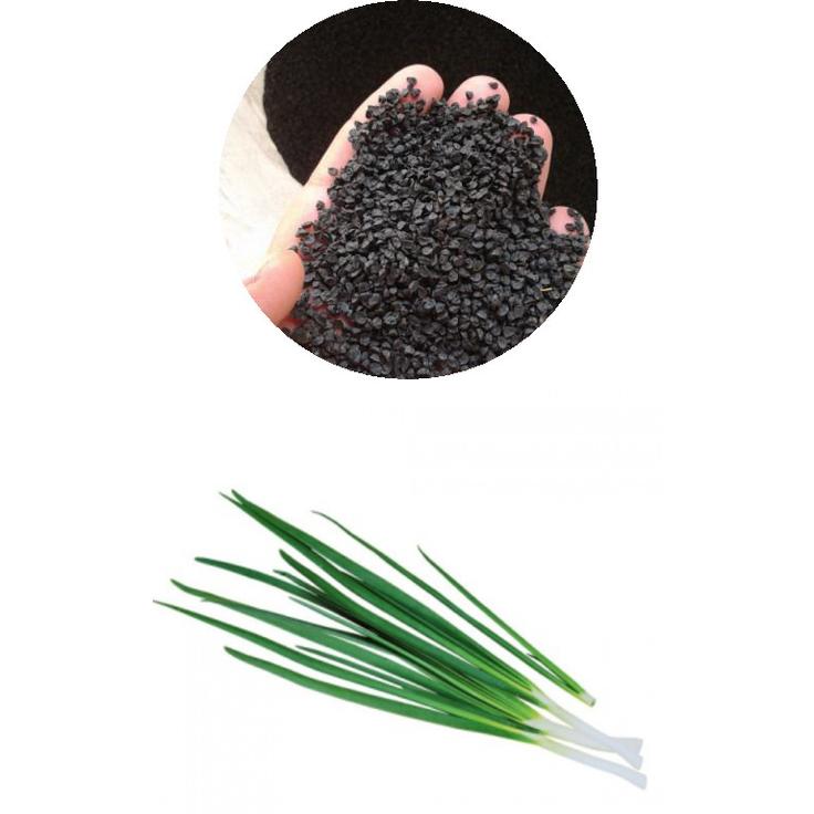 Семена лука батуна - Зеленые перышки 1 г