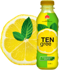 Напиток компотный TEENgree лимон и мята 500 мл