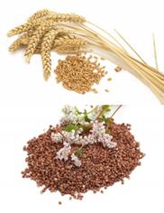 Талкан пшенично-гречишный мелкий - Актирман 350 г