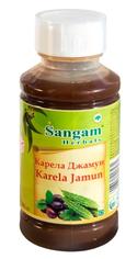 Сок Карела и Джамун 100% натуральный Sangam Herbals, 500 мл