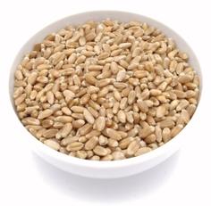 Пшеница для проращивания ЭКОСТОРИЯ, 1 кг