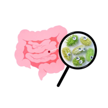 Пробиотики для людей