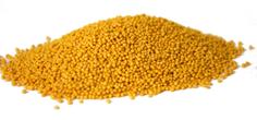 Горчица желтая семена "Золото Индии", 1 кг