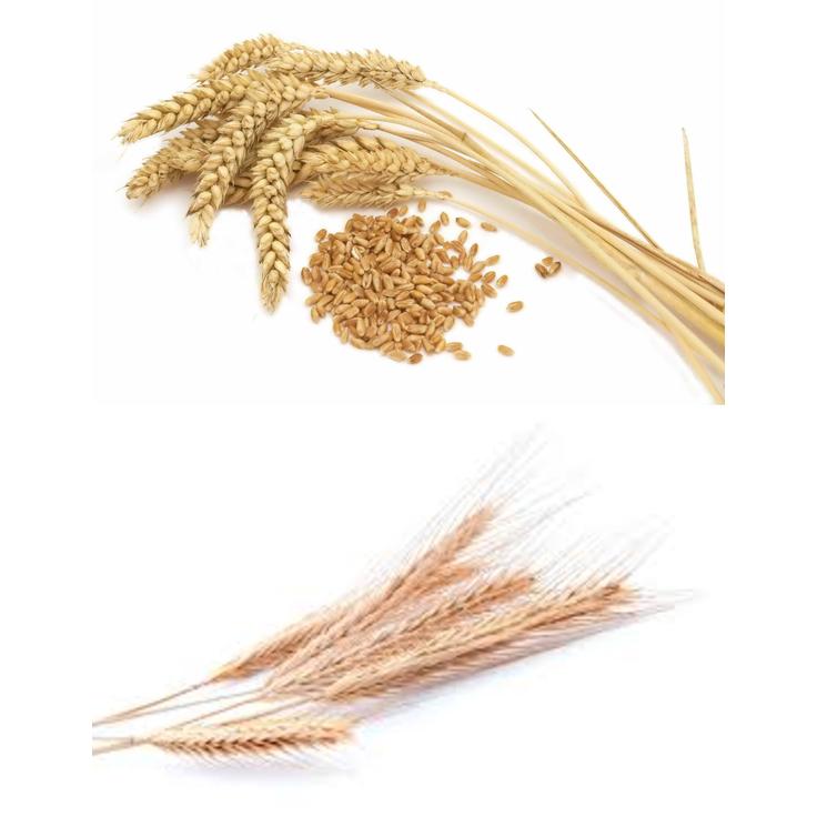 Талкан пшенично-ржаной крупный - Актирман 350 г