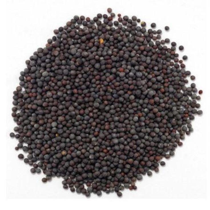 Горчица черная семена "Золото Индии", 50 г