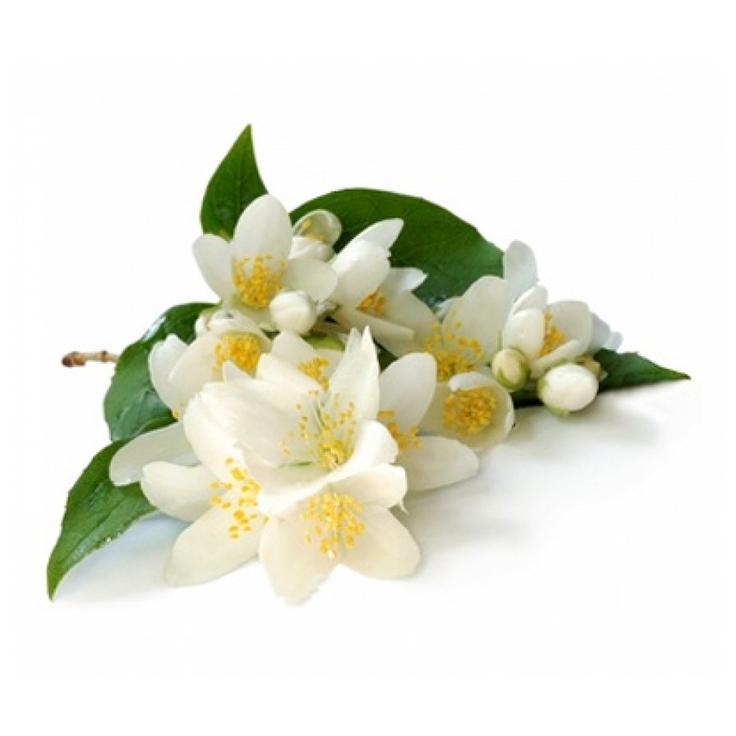 Благовония HEM Precious Jasmine - Драгоценный жасмин, 8 палочек