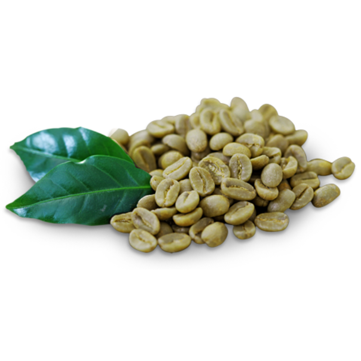 Зеленое кофе арабика. Green Coffee extract. Зеленый кофе Арабика. Зеленый кофе в зернах. Кофе зеленый зерновой.