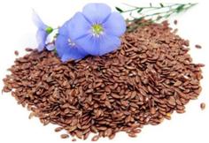 Лен алтайский коричневый семена (99.9% очистки) TIENA 400 г