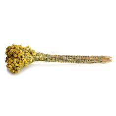 Трава для окуривания Tansy - Пижма 23-25 см 30-34 г