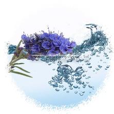 Гидролаты - цветочные воды