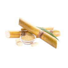 Полезный сахар