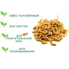 Овес голозерный для проращивания "Злаки Сибири", 170 г