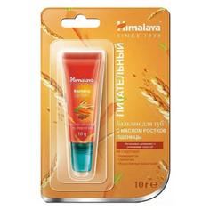 Бальзам для губ с маслом ростков пшеницы Himalaya Herbals, 10 г