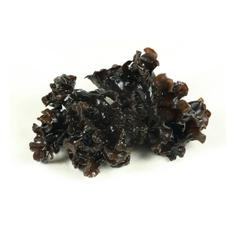 Черные древесные грибы Фунгус сушеные, 250 г