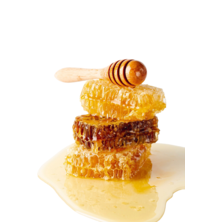 Мед и продукты медоводства