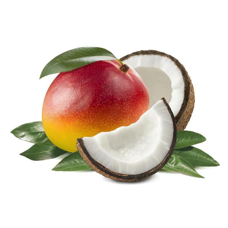 Веганское мороженое ЭКОСТОРИЯ натуральное из манго и кокосовых сливок в лотке, 500 г