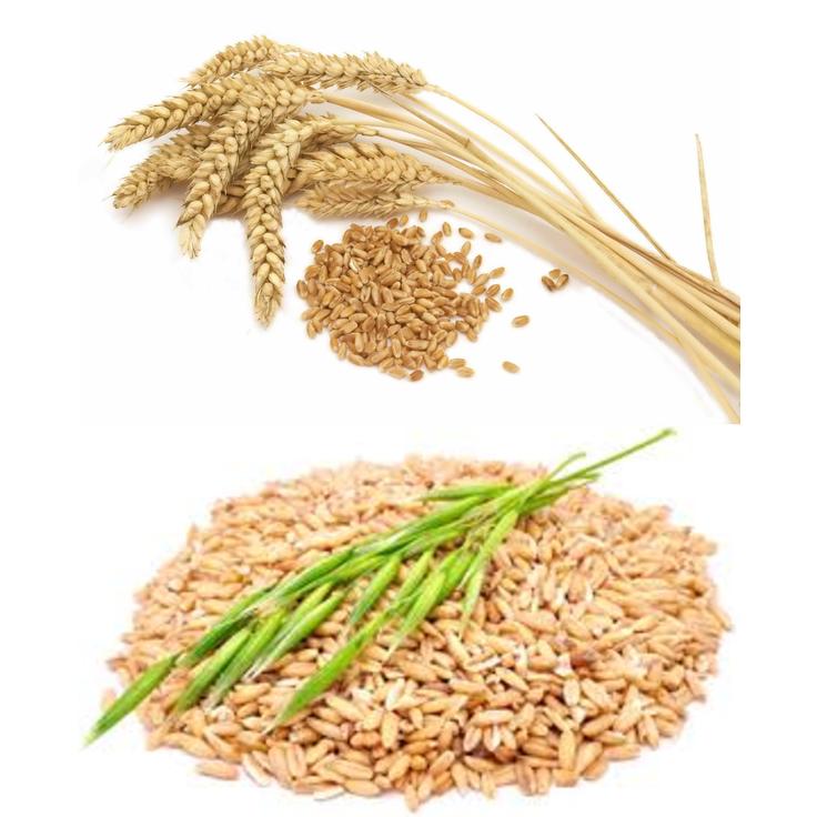 Талкан пшенично-овсяный крупный - Актирман 400 г