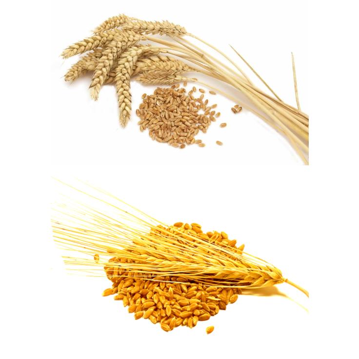 Талкан пшенично-ячменный крупный - Актирман 400 г