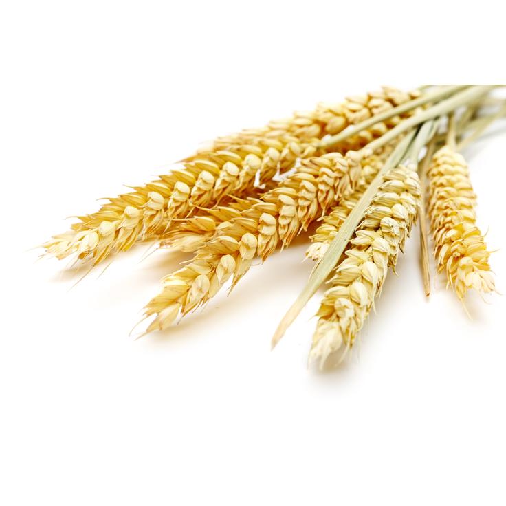 Талкан пшеничный мелкий - Актирман 350 г
